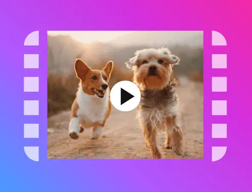 Download Instagram Videos free HD