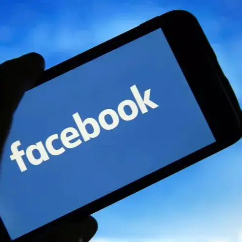ReelDown Facebook Video Downloader